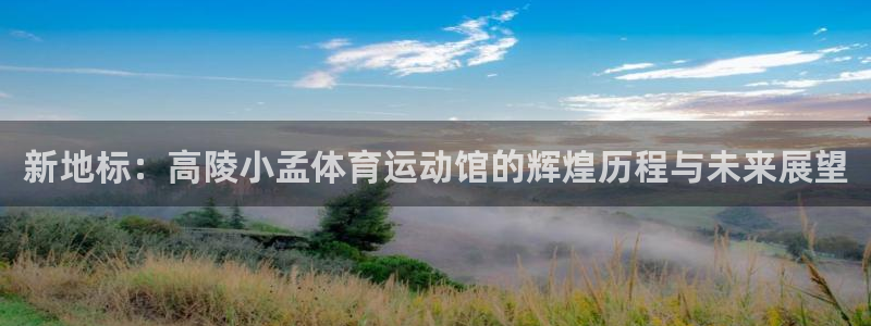 中欧体育网站