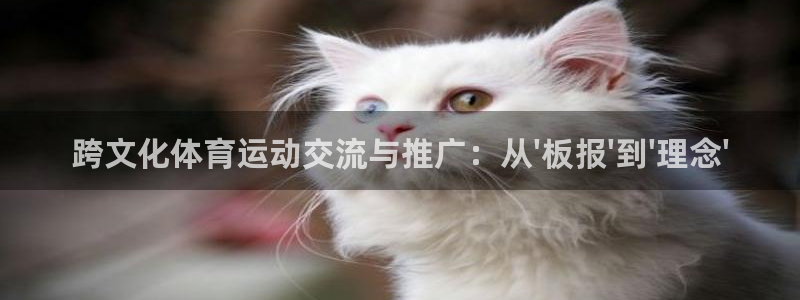 中欧体育下载