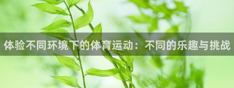 中欧体育集团