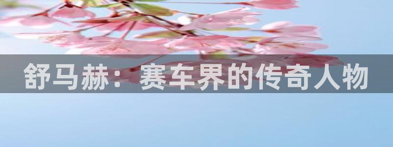 中欧体育最新地址