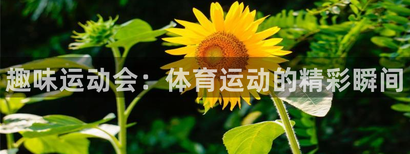 中欧体育李勇鸿