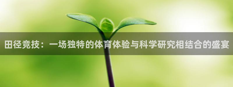 kok中欧体育登录
