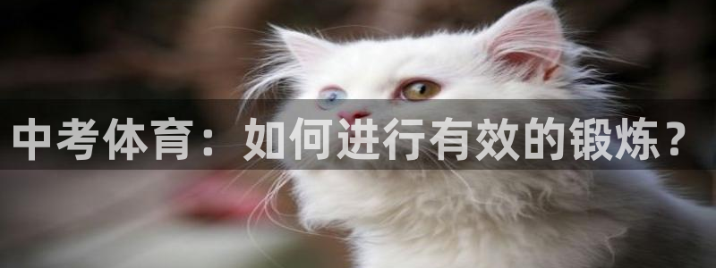 zoty中欧体育平台