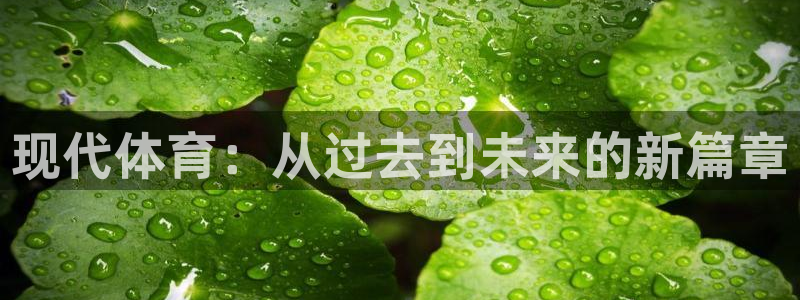 中欧体育官网