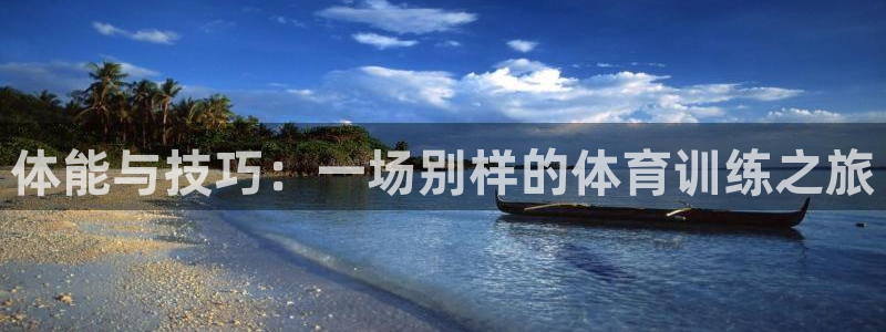 中欧体育kok