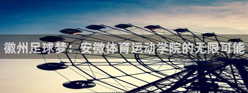 中欧体育官网