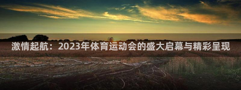 中欧体育网页版