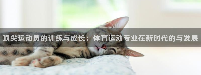 中欧体育最新地址