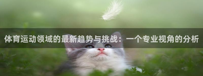 中欧体育ac米兰