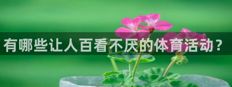 zoty中欧体育平台