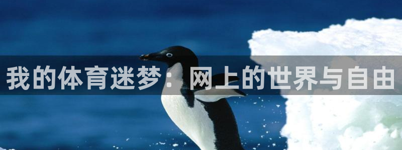 中欧体育最新地址