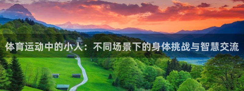 kok中欧体育