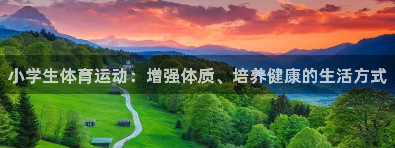 中欧体育网页版