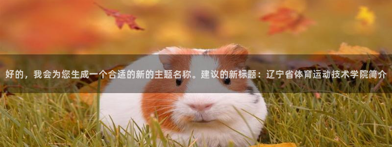 中欧体育kok
