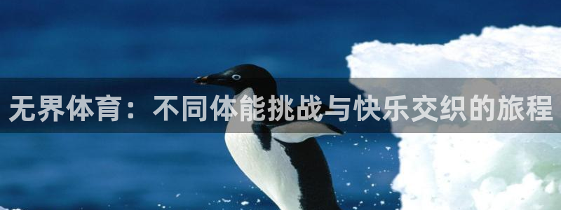 中欧体育最新地址