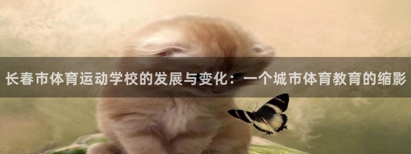 中欧体育