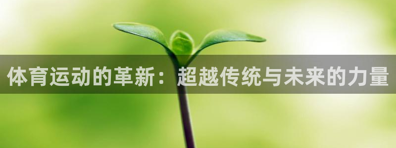 zoty中欧体育